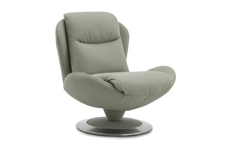 KIWI_2